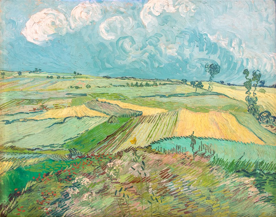 CarnegieMuseumofVincentGoghAfterRain