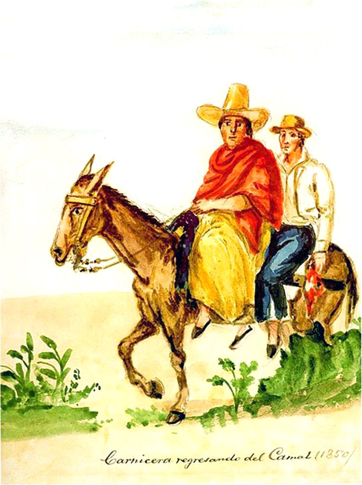 Carnicera regresando del Camal (1850)