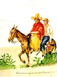 Carnicera regresando del Camal (1850)