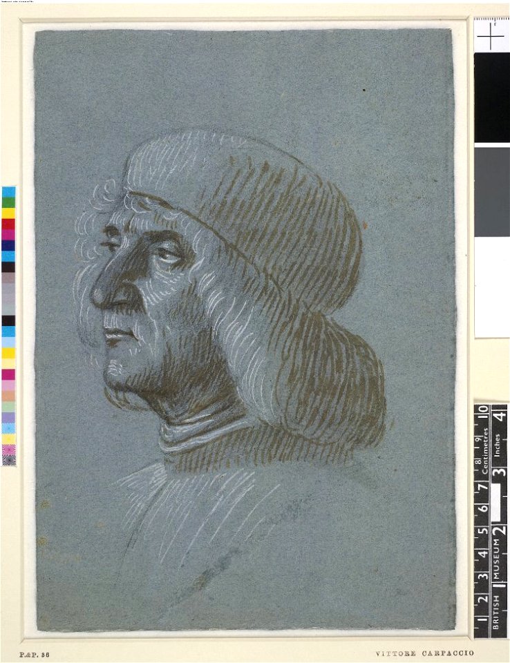 Carpaccio - Head of a man with a cap and long hair, almost in profile to l Brush drawing in brown ink, heightened with white, on blue paper, 1892,0411.1