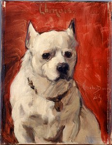 Carolus-Duran - Le chien chinois - PPP583 - Musée des Beaux-Arts de la ville de Paris