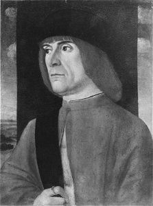 Vittore Carpaccio - Portrait of a Man - 17.1080 - Museum of Fine Arts
