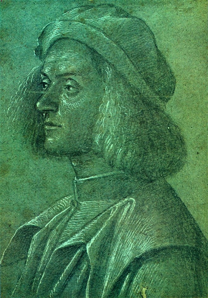 Carpaccio - Portrait of a Young Man, c. 1500