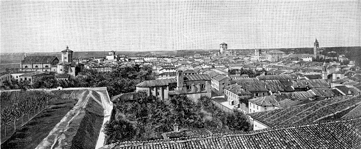 Carpi a volo d’uccello (xilografia)