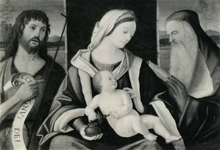 Carpaccio - Madonna con Bambino tra san Giovanni Battista e san Girolamo, Collezione privata, Lugano. Free illustration for personal and commercial use.