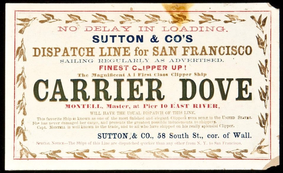 CARRIER DOVE Clipper ship sailing card