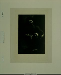 Carrière - Consolation Hommage à Tolstoï, NUM Mfilm 347 (02, 446)
