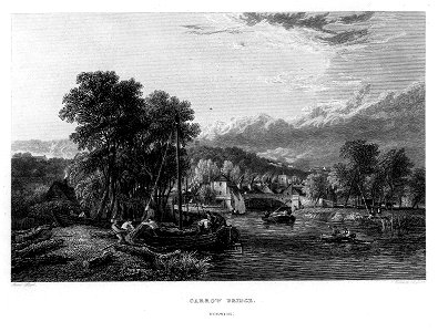Carrow bridge stark