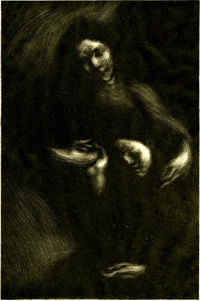 Carrière - Hommage à Tolstoï, 1913,0722.3