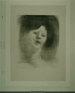 Carrière - Marguerite Carrière, NUM Mfilm 347 (02, 441)