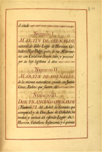Carta de Brasão de Antônio Baylo, Oseñalde, Perez y Tomás, Cavaleiro da Casa Real Espanhola 24