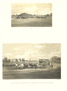 Carro de boi – transporte AN