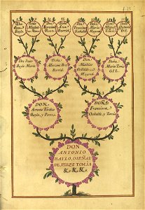 Carta de Brasão de Antônio Baylo, Oseñalde, Perez y Tomás, Cavaleiro da Casa Real Espanhola 52