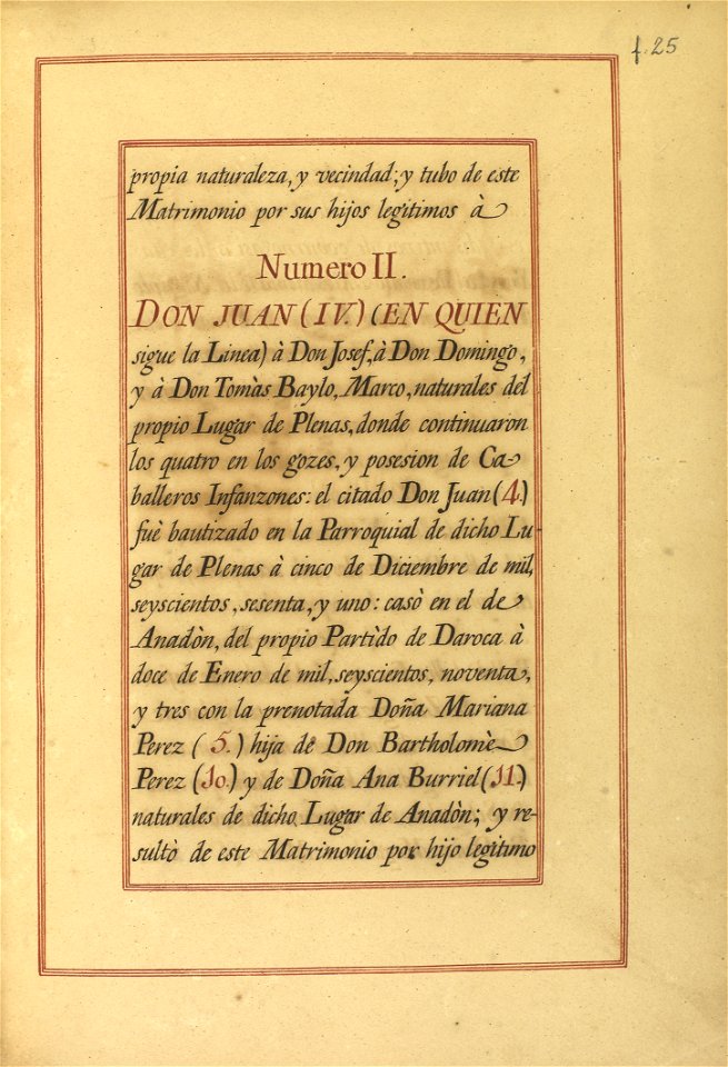 Carta de Brasão de Antônio Baylo, Oseñalde, Perez y Tomás, Cavaleiro da Casa Real Espanhola 50