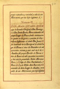 Carta de Brasão de Antônio Baylo, Oseñalde, Perez y Tomás, Cavaleiro da Casa Real Espanhola 50