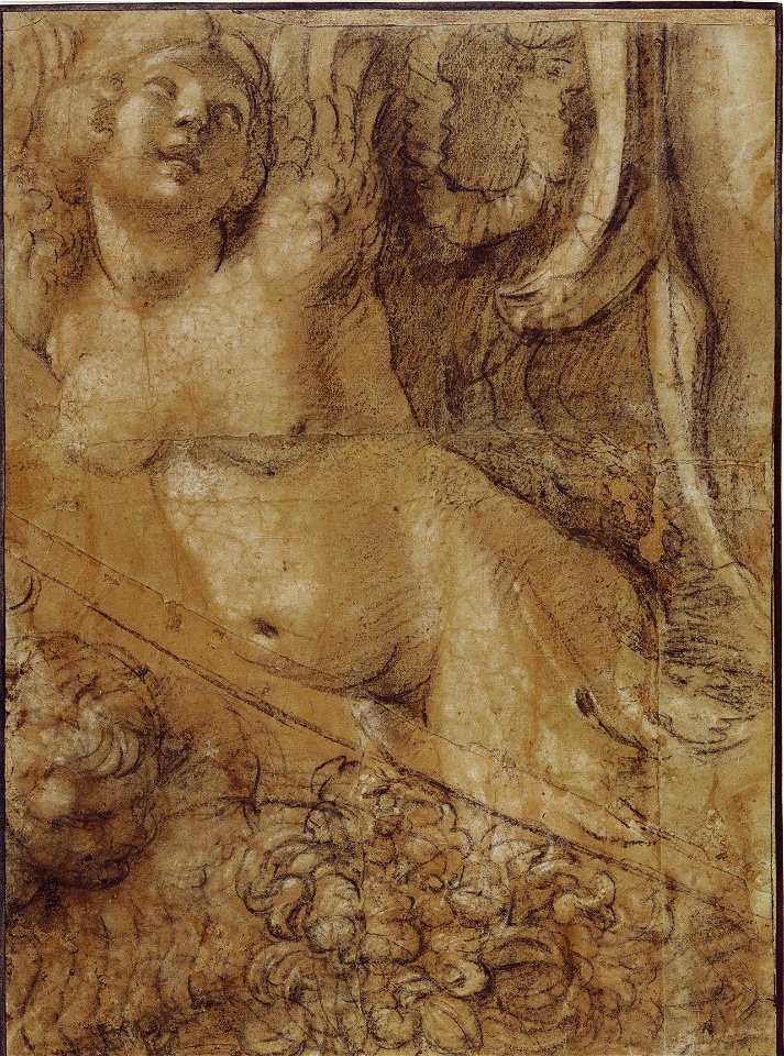 Cartone Sirena