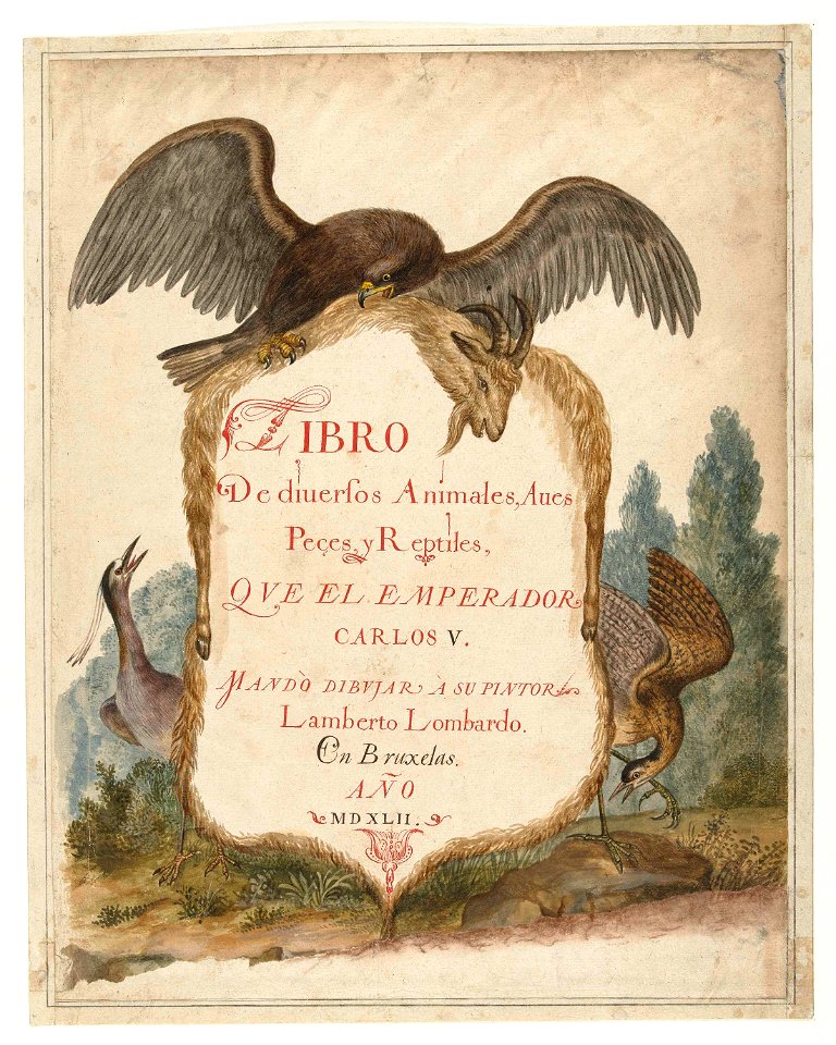 Cartouche opgehouden door een steenarend, kwak en roerdomp
