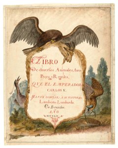 Cartouche opgehouden door een steenarend, kwak en roerdomp
