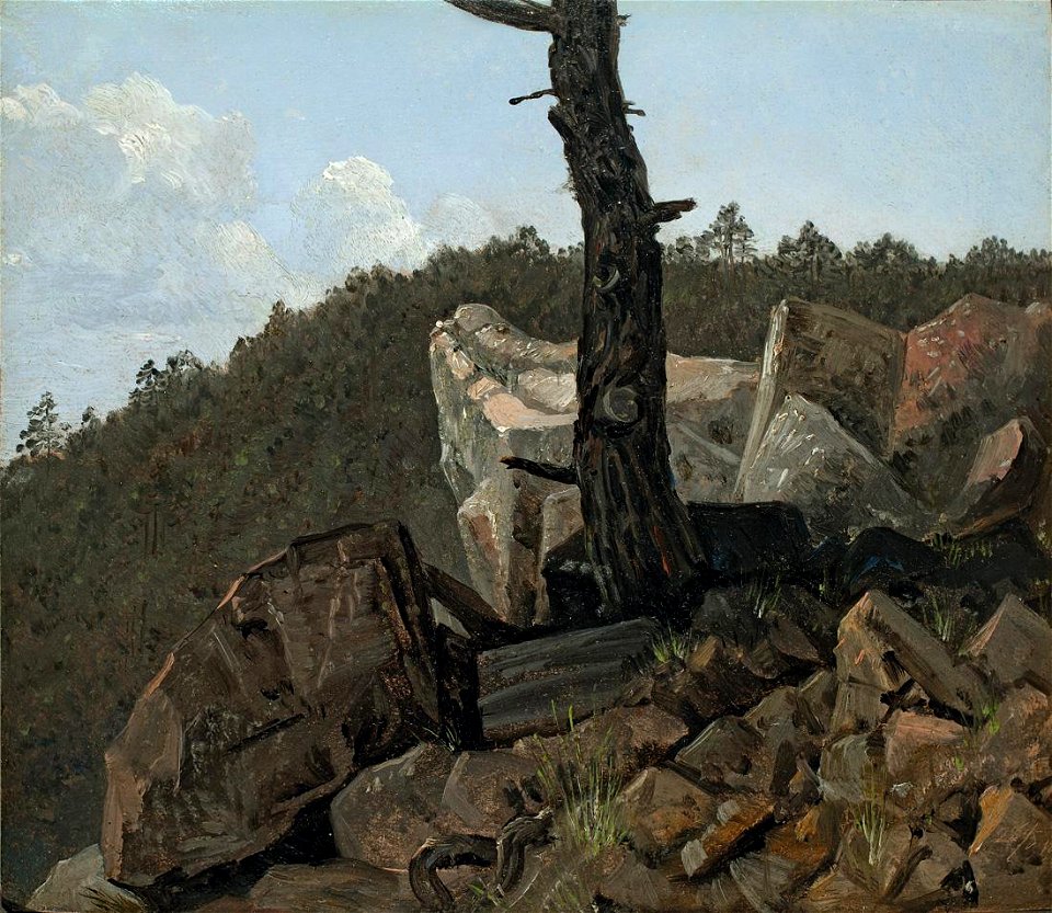 Carl Gustav Carus - Baum über Steinen