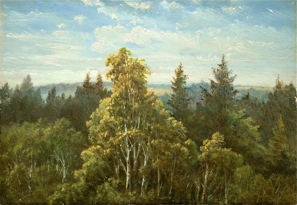 Carl Gustav Carus Bewaldeter Abhang bei Pillnitz