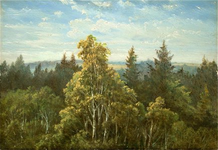 Carl Gustav Carus Bewaldeter Abhang bei Pillnitz