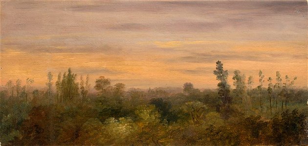 Carl Gustav Carus - Blick über den Waldrand