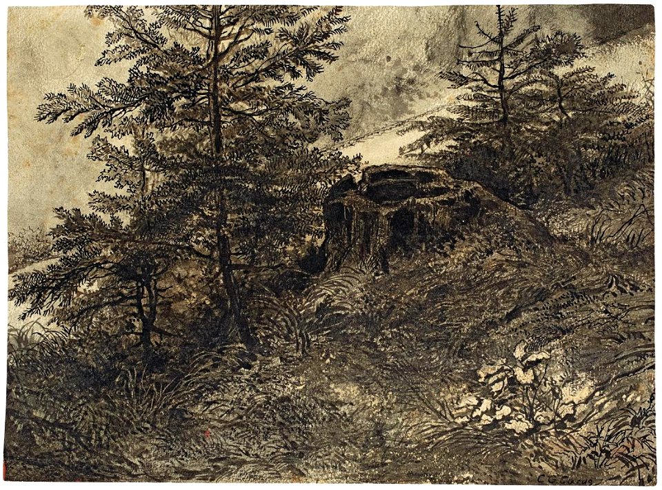 Carl Gustav Carus - Waldstudie