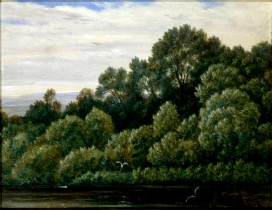 Carl Gustav Carus - Pfaueninsel bei Pillnitz (ca. 1830)