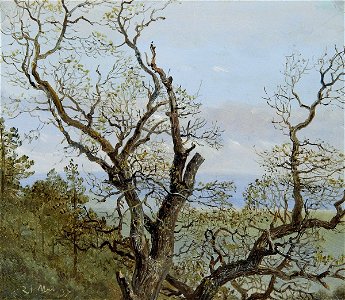 Carl Gustav Carus - Knorrige Eiche im Frühling (1837)