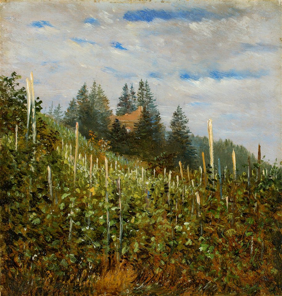 Carl Gustav Carus - Frühsommerlicher Weinberg in Pillnitz