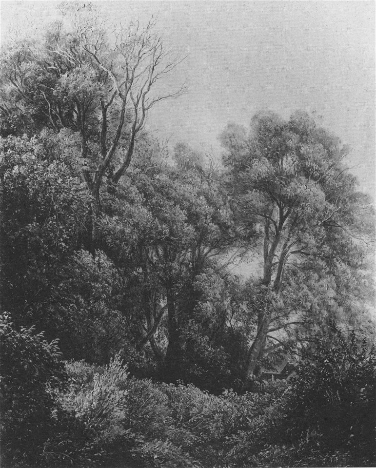 Pillnitz Auf der Elbinsel Carl Gustav Carus 1840