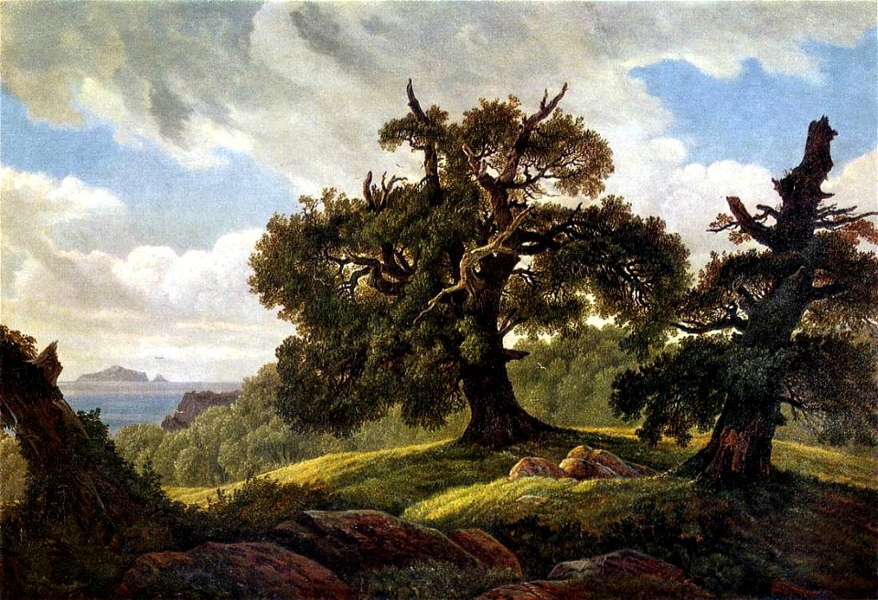 Carl Gustav Carus - Oaks at the Sea Shore - WGA04521
