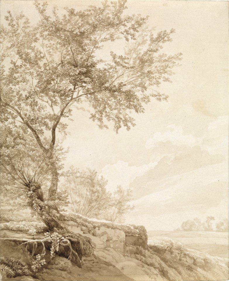 Carl Gustav Carus - Laubbaumgruppe (1811)