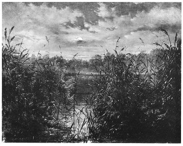 Carl Gustav Carus Mondnacht im Schilf