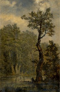 Carl Gustav Carus - Landschaftsstudie, Rosental bei Leipzig
