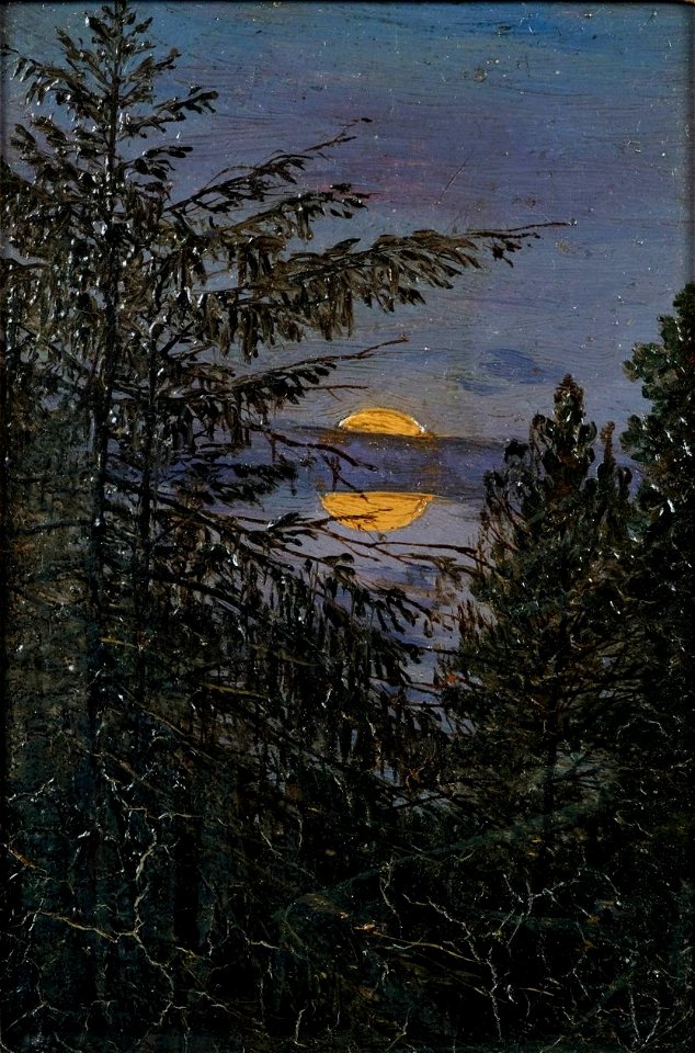 Carl Gustav Carus - Tannen bei Mondschein