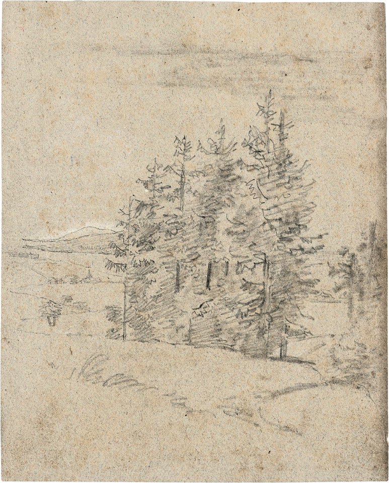 Carl Gustav Carus - Weite Landschaft mit Fichtengruppe
