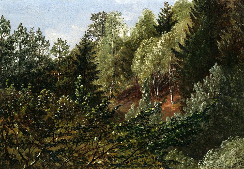 Carl Gustav Carus - Waldstudie bei Dresden