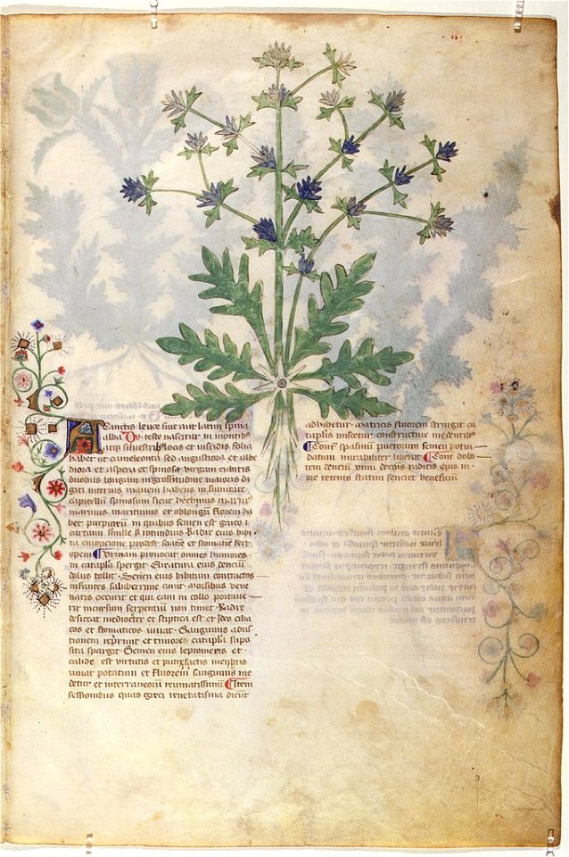 Casanatense 459, f.003r