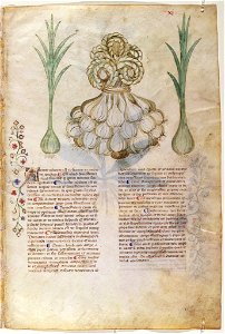 Casanatense 459, f.011r