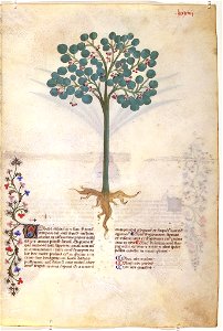 Casanatense 459, f.084r