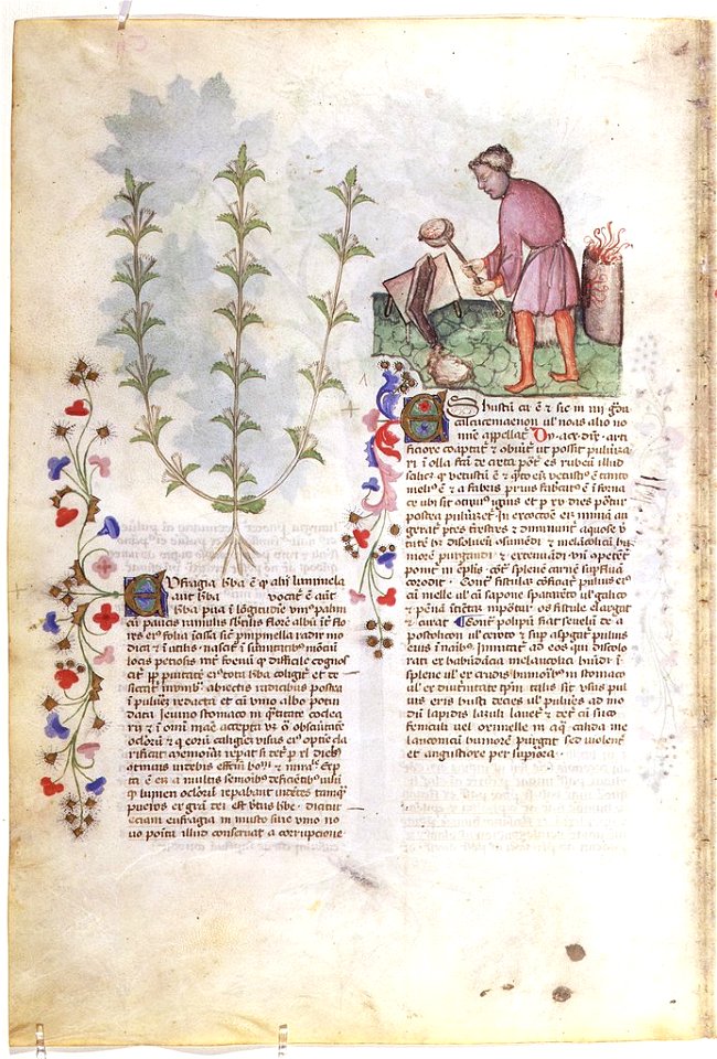 Casanatense 459, f.102v