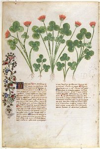 Casanatense 459, f.270v