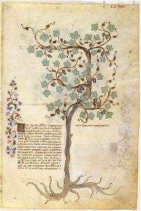Casanatense 459, f.280r