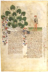 Casanatense 459, f.285v