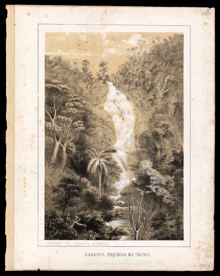 Cascata pequena da Tijuca