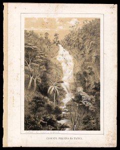 Cascata pequena da Tijuca