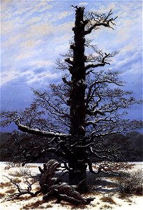 Caspar David Friedrich - The Oaktree in the Snow - WGA8280