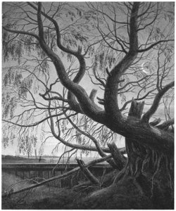Gustav Friedrich Papperitz Alte Weide