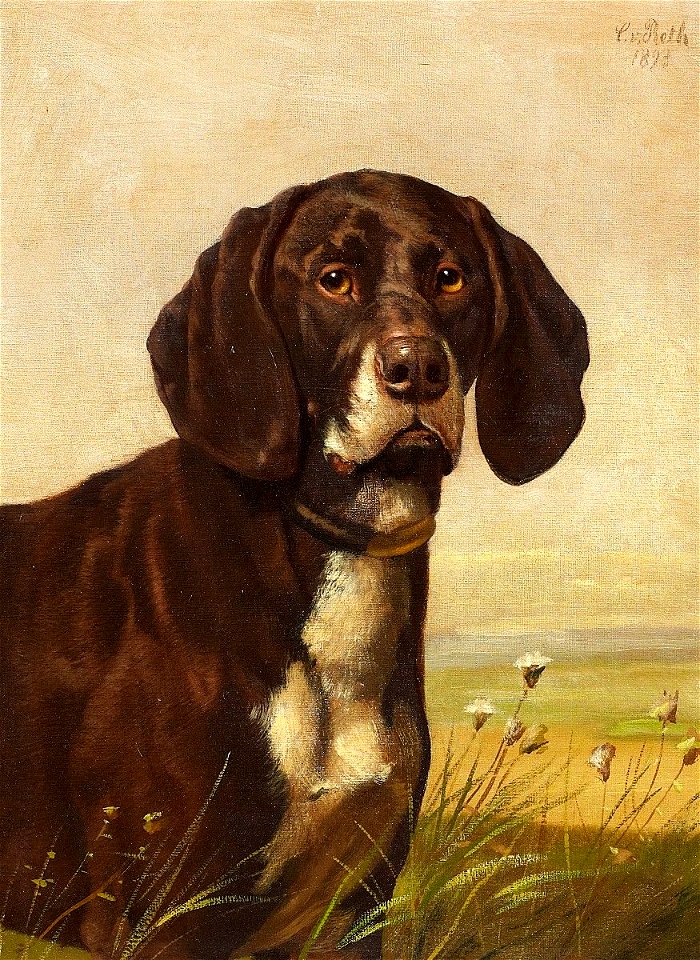 Caspar von Reth Hundeportrait 1893